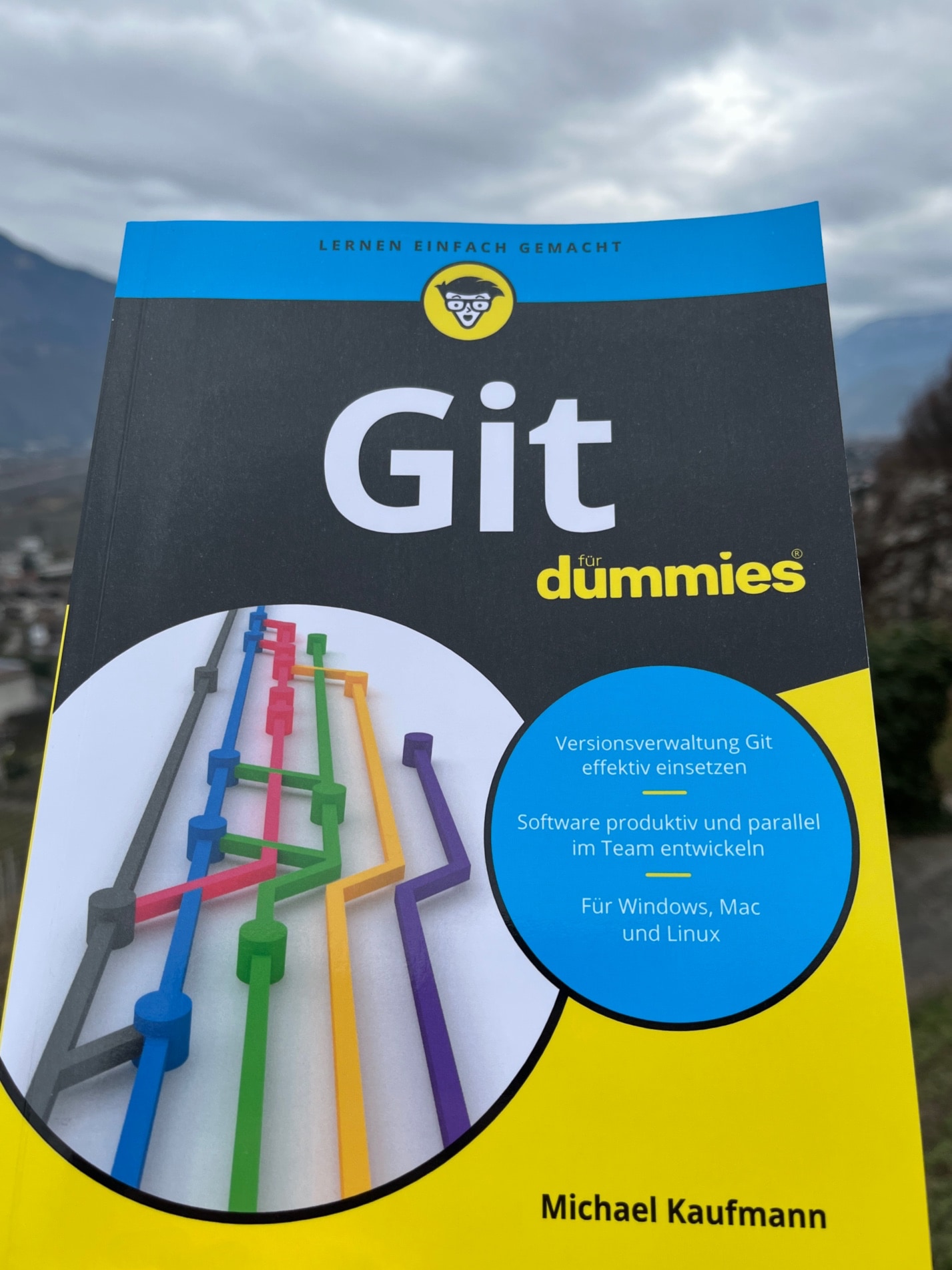 Git für Dummies