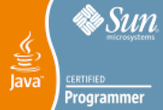 Sun Certified Java Programmer
